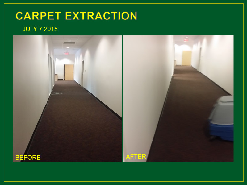 Commercial Carpet Cleaning Washington DC Evergreen Solutions 4U