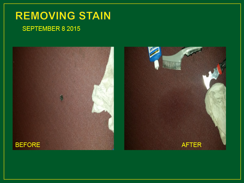 Commercial Carpet Cleaning Washington DC Evergreen Solutions 4U